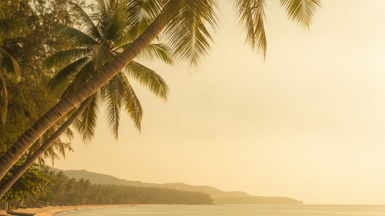 A quiet sunny Timor-Leste beach with palm trees on a holiday